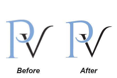 Vector Digitizing Service 2 Logo digitizing